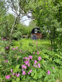 The Ark-glamping next to our fishing lake. - Image 3