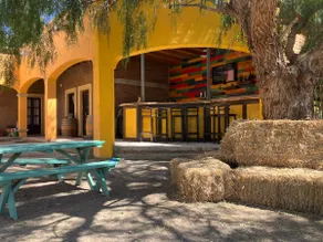 Hacienda La Piticui | Guadalupe Valley + Pool - Image 4