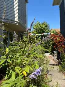 Private and Modern Garden Suite in Alameda - Image 4