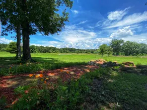 Private 50 Acres Lake Sam Rayburn - Image 2