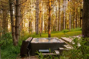 Carpenter’s Cabin | Conversation Pit | Hot Tub - Image 3