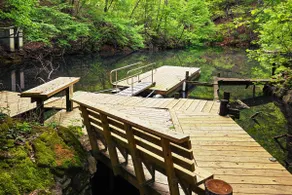 Pet-Friendly Cabin w/ Dock on Claytor Lake! - Image 3