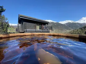 Cozy cottage with sauna and Nordic bath - Image 2