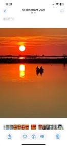 The Sunset House-Venice Gulf cottage on the lagoon - Image 5