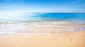 Beach Emerald Paradise NASA/Fishing/Cruises - Image 2