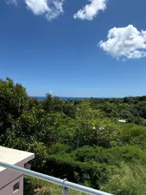 Casa Paradise Palms! Beautiful views from the rooftop. Walk to ferry/beach. - Image 3