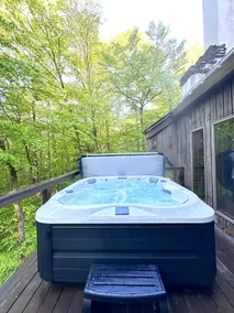 Sunny Mtn Chalet w/Hot Tub, Sauna & Hiking Trails - Image 4