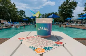 The Great Lake Escape Lake❤️Beach❤️Fun❤️Fish❤️Food! - Image 4