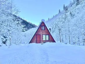 Alone in nature - Image 2