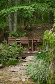 Secluded Cabin w/ Fireplace, Trails & Creek Access - Image 5