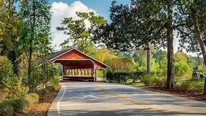 #2 Cottage Woodlands PET friendly golf course - Image 2