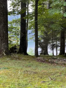 Cabin Fever-Awesome Lake & Mountain View’s - Image 3