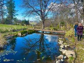 Jacksonville Farmhouse +Hot Tub+wildlife+Pond - Image 4
