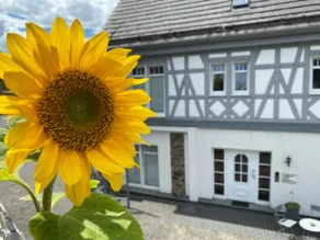 Apartment Rose - Design & Natur im Westerwald - Image 2
