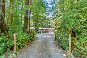 Peaceful, private 3BD home nestled in the redwoods - Image 3