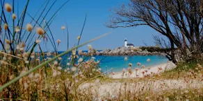 Villa Cassiopée, private pool and Jacuzzi, 200 m from the beach. - Image 4