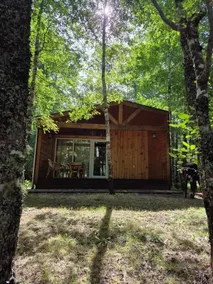 Cozy cabin for 2 - Image 2
