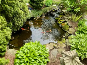 Private Koi Pond- Gorgeous Covered Porch & Kayaks! - Image 3