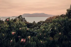 Seaside haven with breathtaking Maria Island views - Image 2