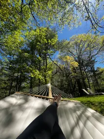 Escape to Pine Lane - Image 2
