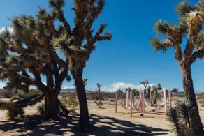 Desert Escape•Pool•Hot Tub•Arcade•Hammocks•Firepit - Image 4