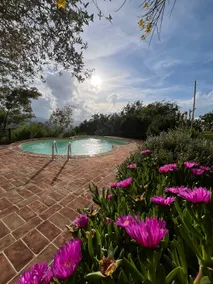 Casa Bacco - Panoramic Terrace and Saltwater Pool - Image 4