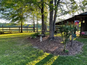 Camp Kiki - Image 4