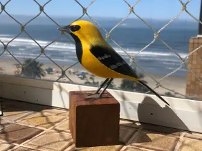 Bertioga, right on the sand with a panoramic view - Image 2