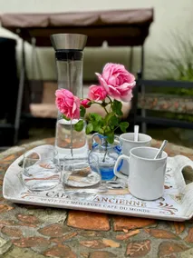 Cozy apartment with a garden on the spa promenade - Image 3
