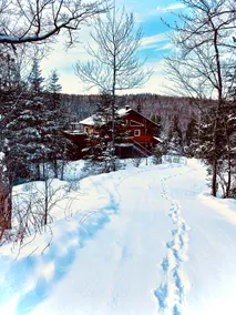 The Perfect Time: Lake, Forest and Spa - Image 2