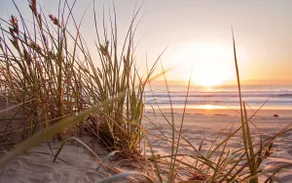 Romantic Cosy Cottage with Lakeside views & the Beach on your Doorstep! With "Snuggle up" Log Burner in the Best Location in Mablethorpe! The Perfect Seaside GetAway for Couples! - Image 4