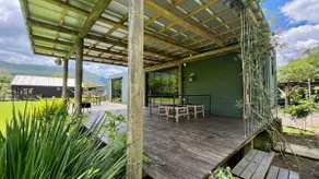 Studio Moara - Image 3