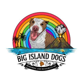 Off-Grid Rainforest Sanctuary & Dog Rescue - Image 4