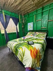 Off-Grid Rainforest Sanctuary & Dog Rescue - Image 5