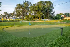 Lakefront | Fire Pit | Putting Green | Sunset View - Image 5