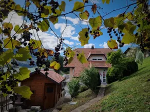 Scenic Slovenian Getaway Home in Heart of Town - Image 3