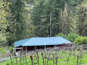 Farmhouse in vineyard and forest hot tub! - Image 4