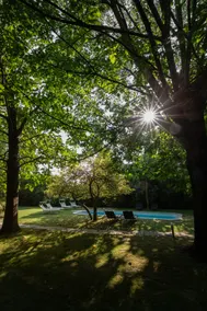 Villa Liberty 1927 with heated pool in the park - Image 3