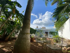 CASA AZUL - Image 4