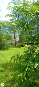 Vacation home in Guaratuba - Image 5
