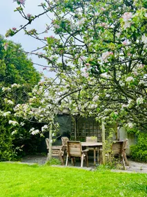 Manor house: jacuzzi, plunge pool, snooker, moors - Image 3