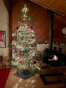Truckee Cabin Retreat: BBQ, Projector, Sauna - Image 3
