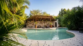 Cozy 1BR/1BA apt. in a jungle paradise setting. - Image 5