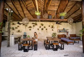 Cozy 1BR/1BA apt. in a jungle paradise setting. - Image 2