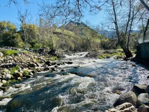 Riverfront w/EV charger - Sequoia River Cottage - Image 2