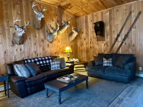 The Nock Nest: Conveniently Located, Cabin Feel - Image 4