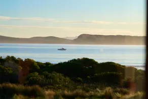 Cloudy Bay Cabin - Image 2