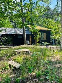 Out in nature, authentic living, away from the big city - Image 2