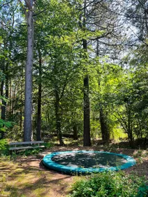 Out in nature, authentic living, away from the big city - Image 4