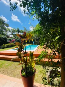 Happy House - Massarandupió - Image 5